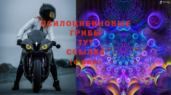 трава Балахна